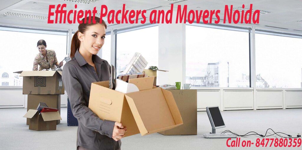 Efficient Packers and Movers Noida