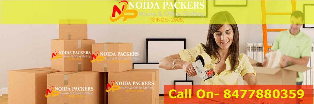 Professional Packer and Mover - Your Partner for a Trouble-Free Transfer