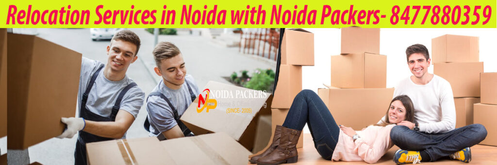 How to Move with Pets- Noida Packers