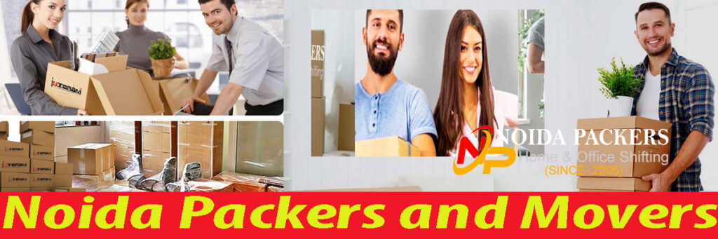 Tips for a Quick Relocation- Noida Packers